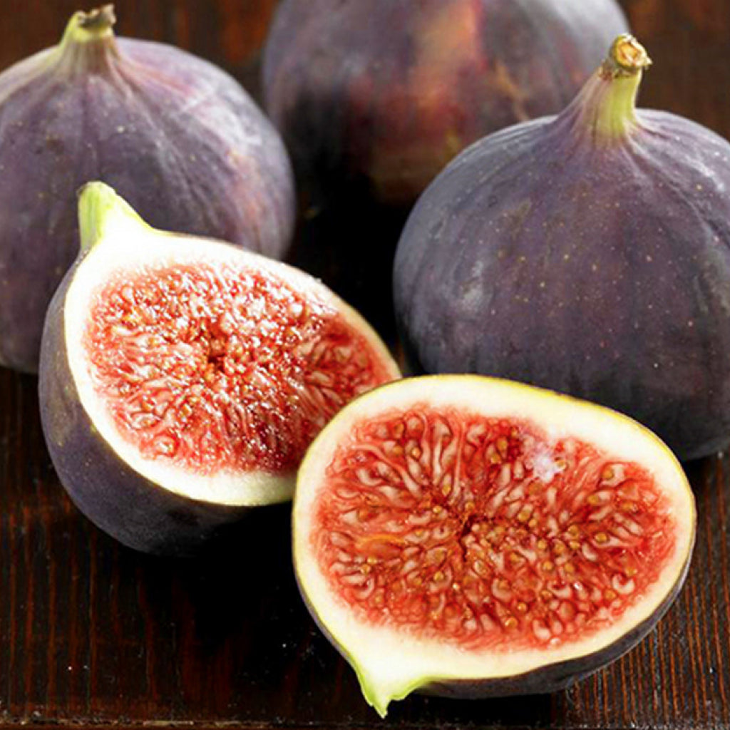 smochini pepinieraromaniei.ro