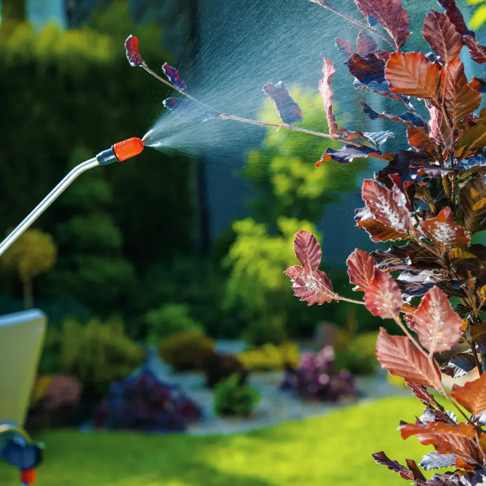 plante ornamentale antidaunatori