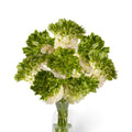 Букет ранункулюсов Crown Giverny с бело-зелёными лепестками в стеклянной вазе