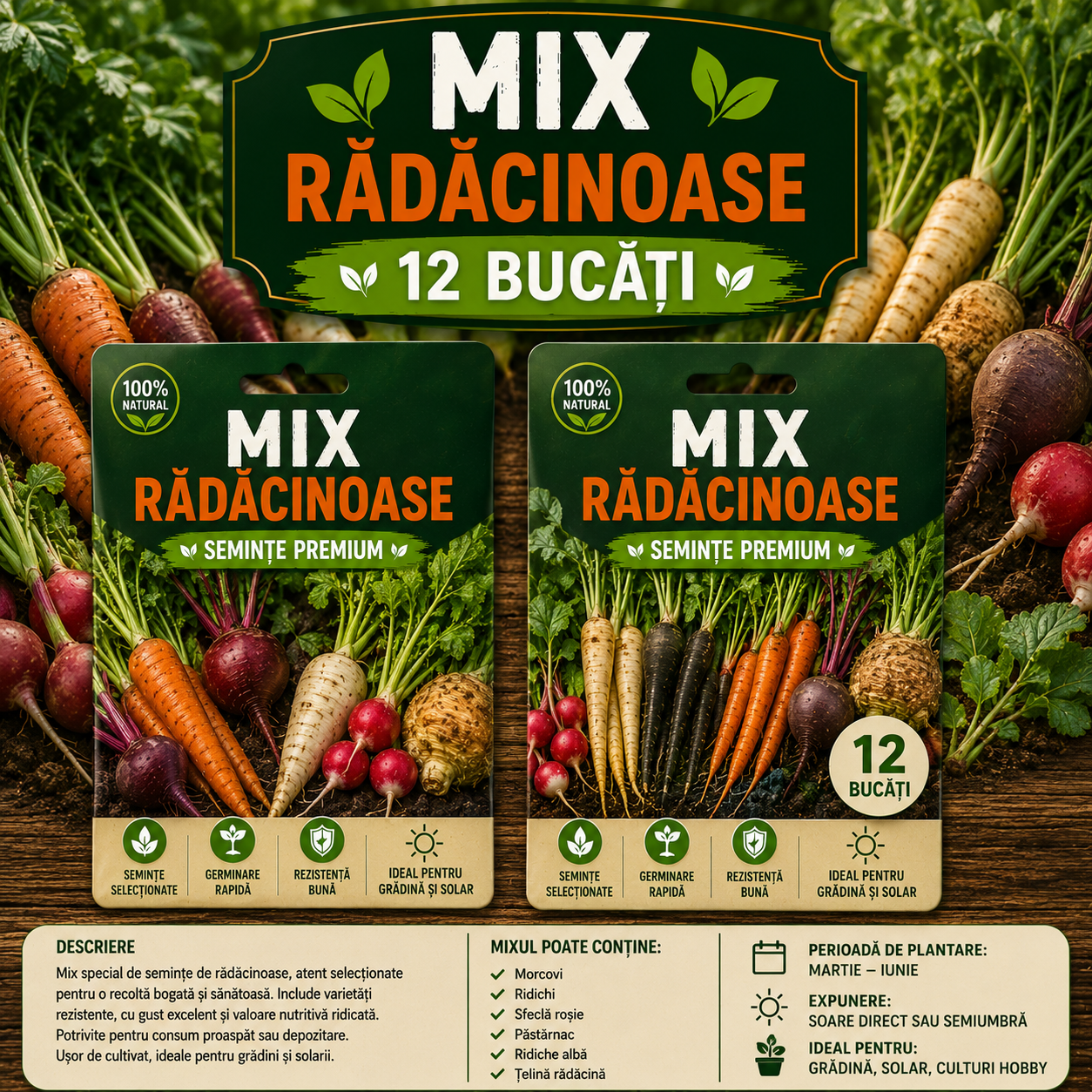 Mix Rădăcinoase-12 Bucăti