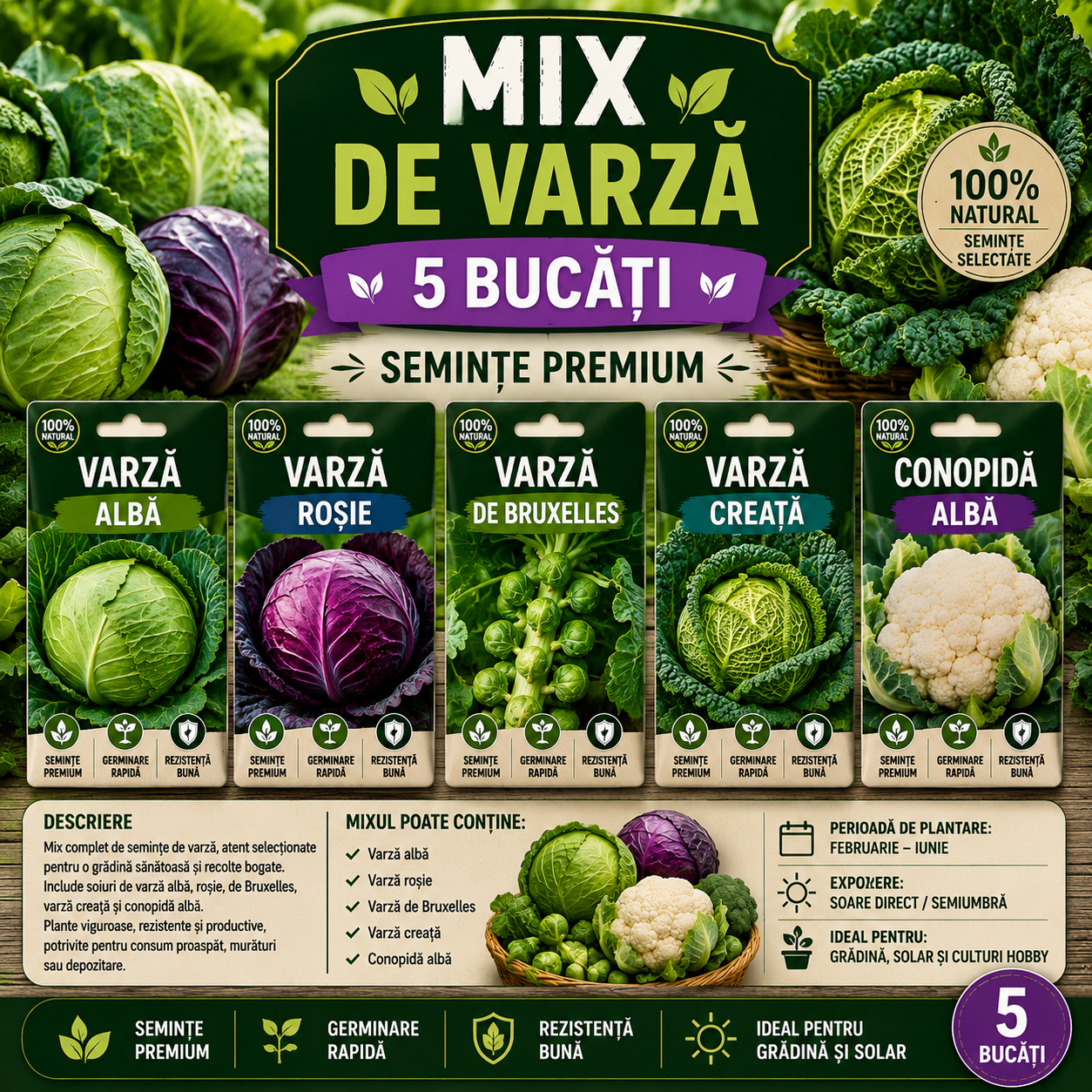 Mix Semințe Varză 5 Bucăți