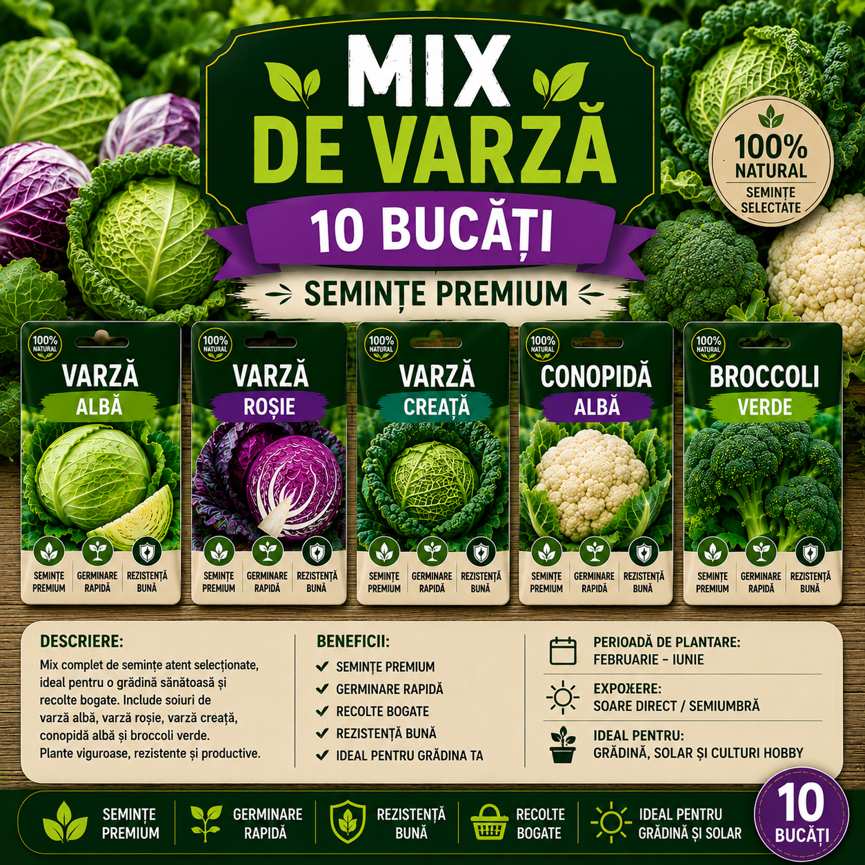 Mix de Semințe Varză 10 Bucăți