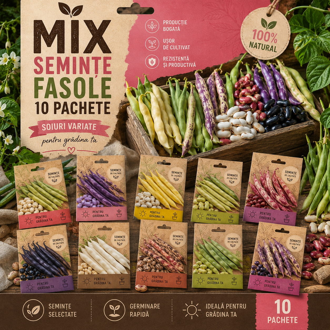 MIX 10 Buc Semințe Fasole