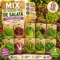 MIX 10 BUC Semințe Salată