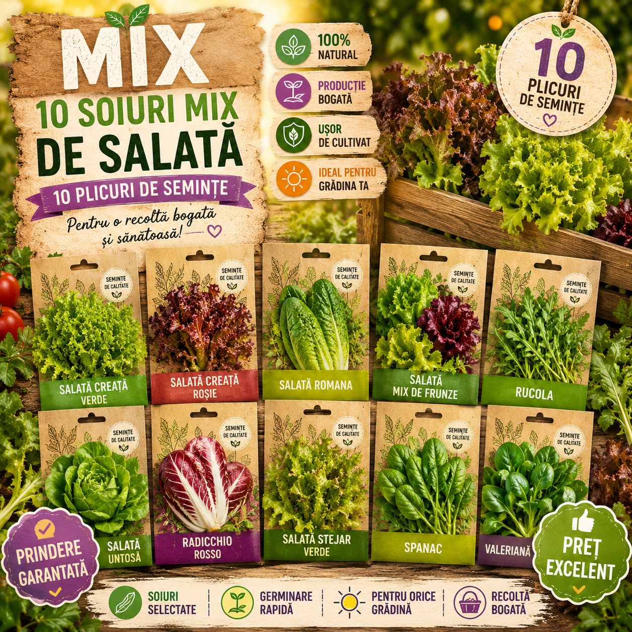 MIX 10 BUC Semințe Salată