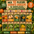 Mix 10 Semințe Dovleac și Dovlecel