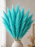 Iarba de Pampas Blue Lagoon