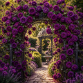 Trandafir Urcător "Indigo" la ghiveci