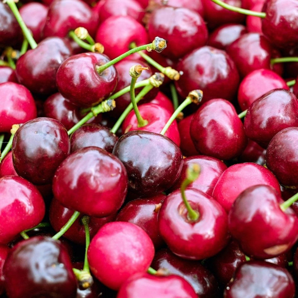 Cires "Regina",  la ghiveci