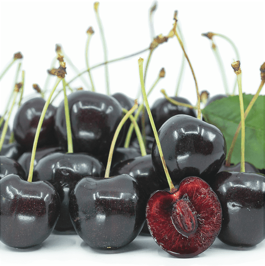 Cires "Stella",  Anul 2