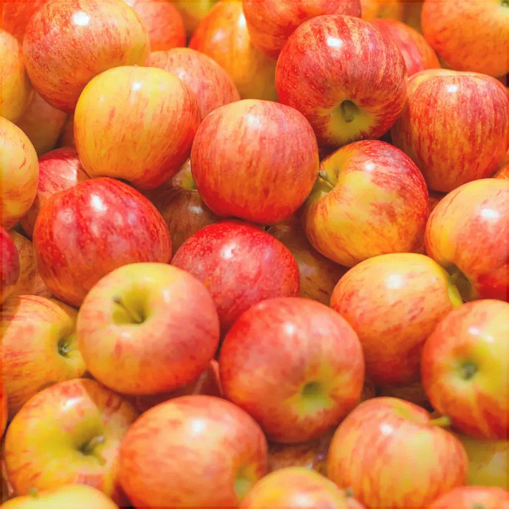 Pomi Fructiferi  - Măr Jonagold - Anul 3 - 1 buc - Pepiniera Romaniei