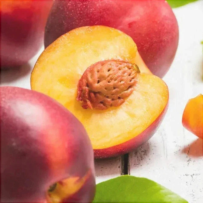 Nectarin "Sweet Scarlet", Anul 2, 1 Bucata