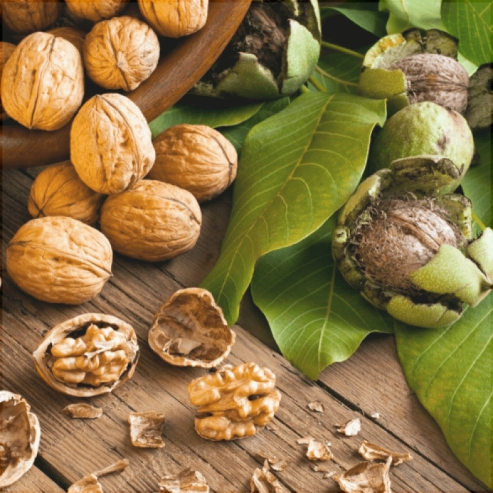 Nuc "Chandler", Anul 2, 1 Bucată