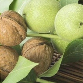 Nuc "Germisara", Anul 2, 1 Bucata