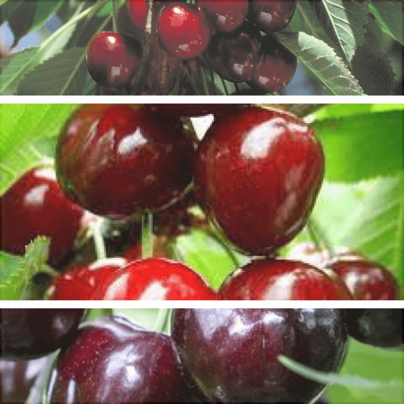 Pachet 3 Promotional Cires 3 Bucati