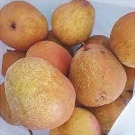 Par "Para lui Nita", Anul 2, 1 Bucata