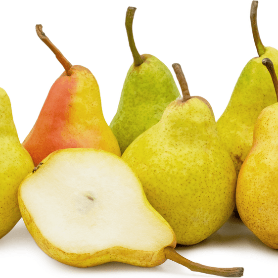 Par "Williams", Alb, Anul 2, 1 Bucata