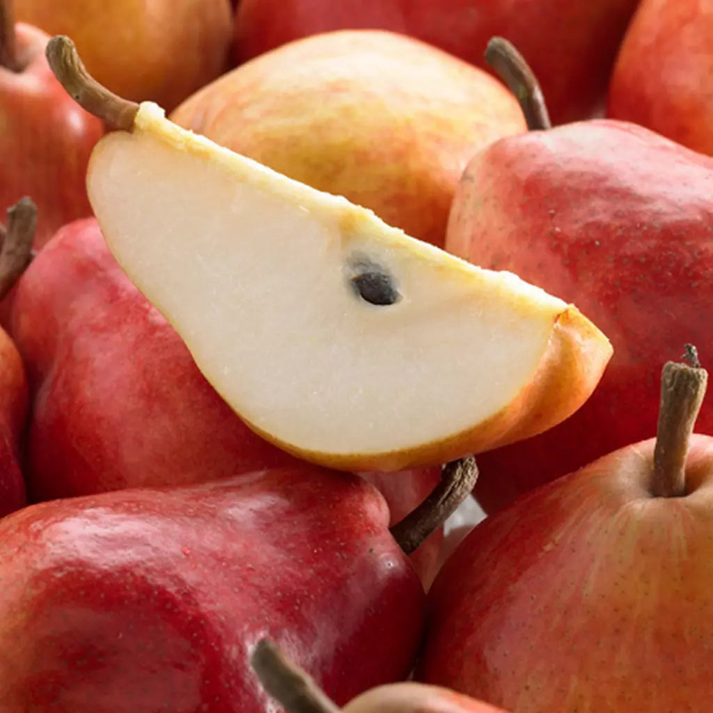 Pomi Fructiferi - Par Williams - Rosu - Anul 3 - 1 buc - Pepiniera Romaniei