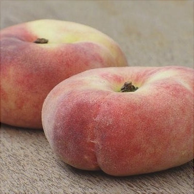 Piersic "Alex", Anul 2, 1 Bucata