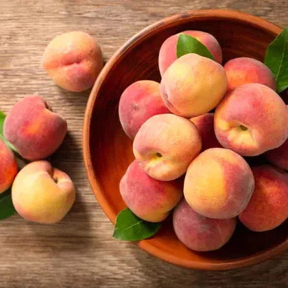 Piersic "Splendid", Anul 2, 1 Bucata