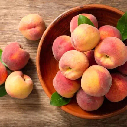 Piersic "Splendid", Anul 2, 1 Bucata