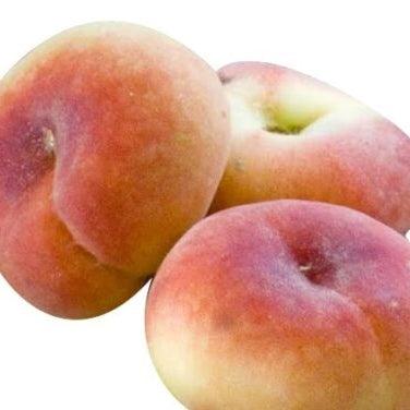 Piersic "Viorel", Anul 2, 1 Bucata