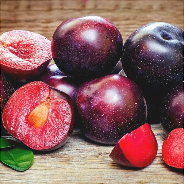 Pomi Fructiferi - Prun Red Lady - Anul 3 - 1 buc - Pepiniera Romaniei