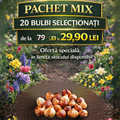 Pachet mix 20 bulbi de primăvară
