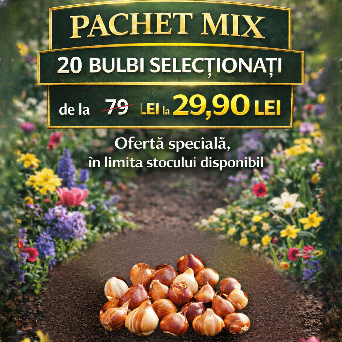 Pachet mix 20 bulbi de primăvară