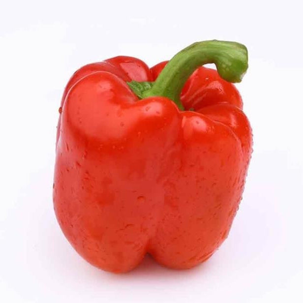 Seminte de Ardei Rosu Hibrid "Blocky"