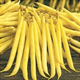 Seminte de Fasole Oloaga "Bergold", 100 gr