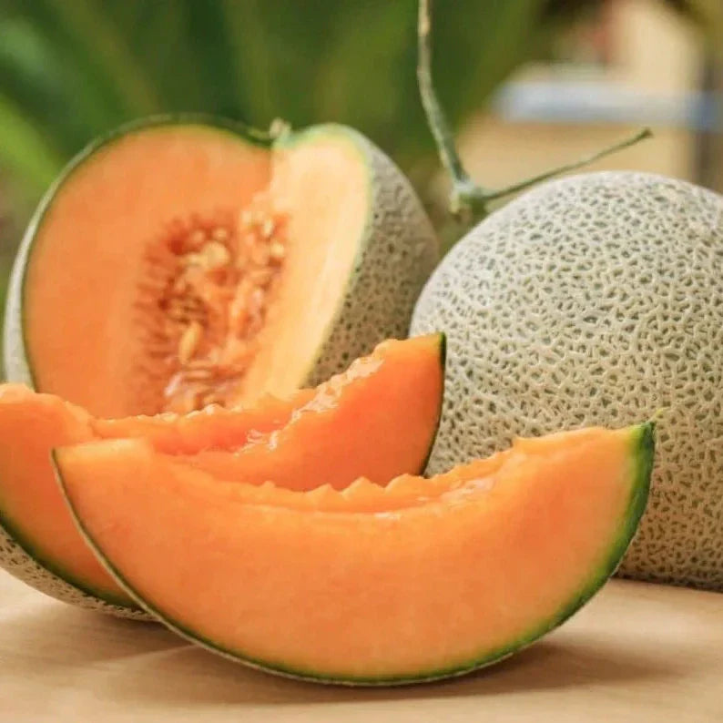 Seminte de Pepene Galben "Hale's Best Jumbo", 2 gr