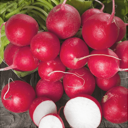 Seminte de Ridichi de Luna "Cherry Belle", 6g