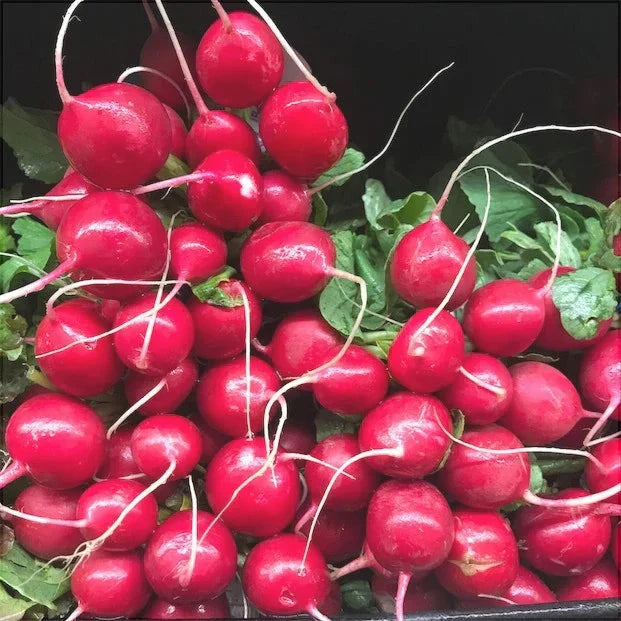 Seminte de Ridichi de Luna "Cherry Belle", 6g