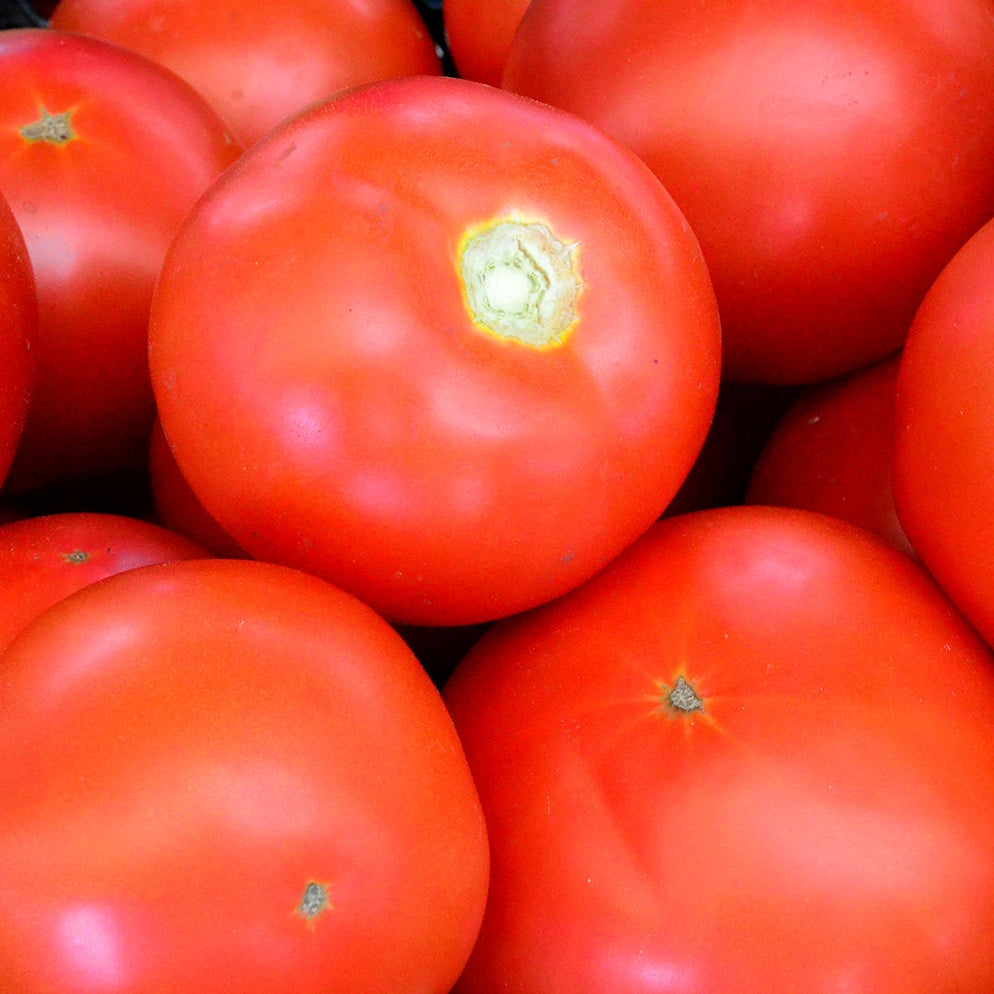 Seminte de Rosii Buzau 22  0,2g