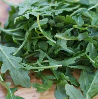 Seminte de Rucola