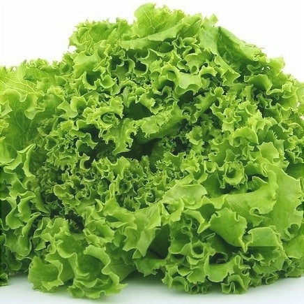 Salata Lollo