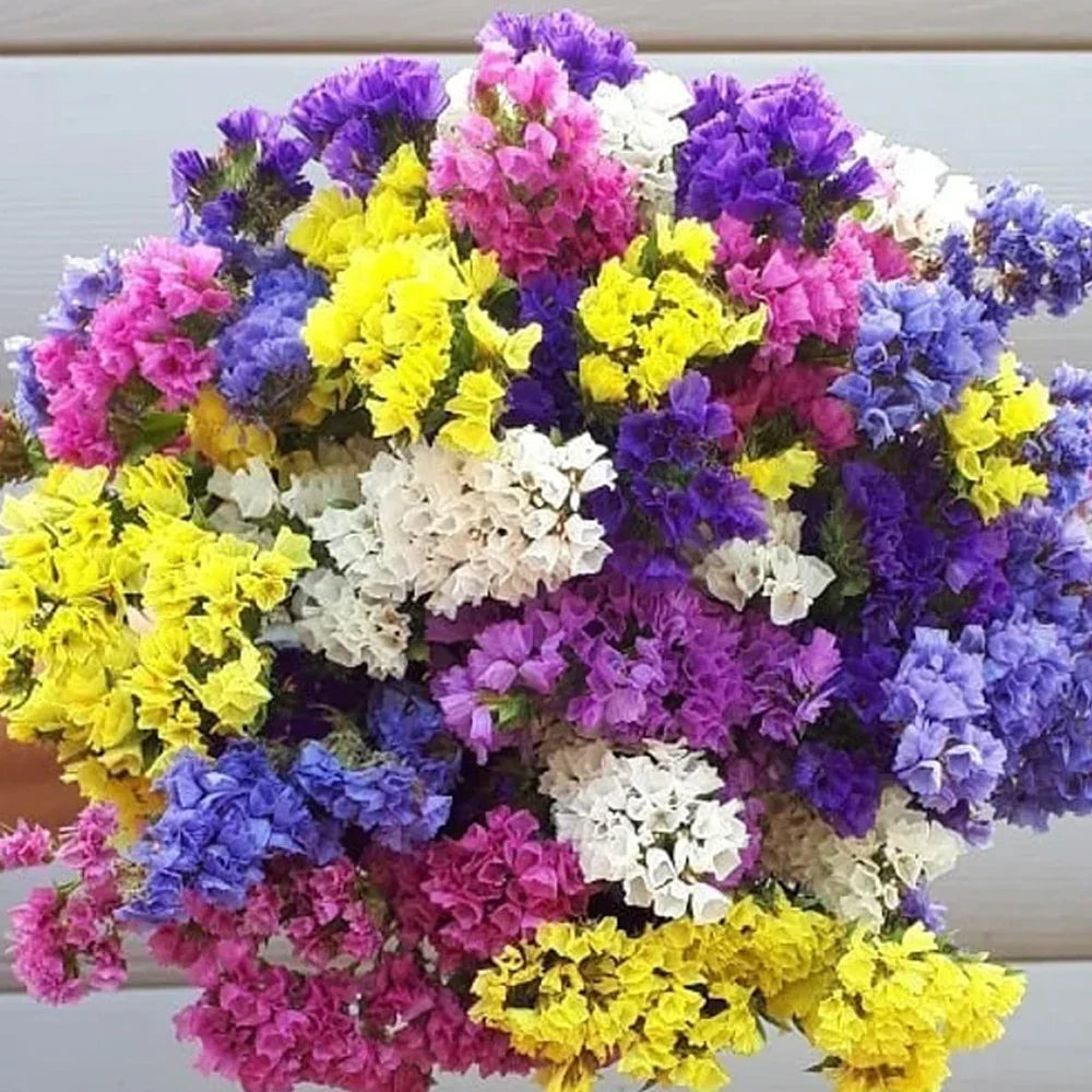 Seminte de Saraturica Melanj , 0.2 gr