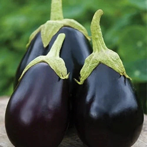 Seminte de Vinete Hibrid "Perfection", 1g